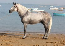 Y. TORRELUNA 9-07 208 (Copiar)